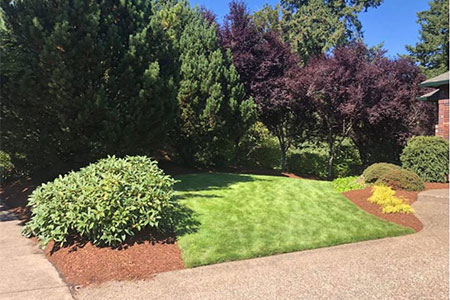 Landscaping Near Me Aurora OR