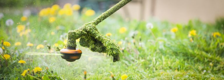 Benefits Of Professional Lawn Care Services | Nw Evergreen Landscape Llc
