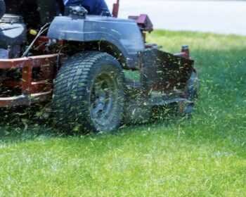 Lawn Service near me Oregon City OR