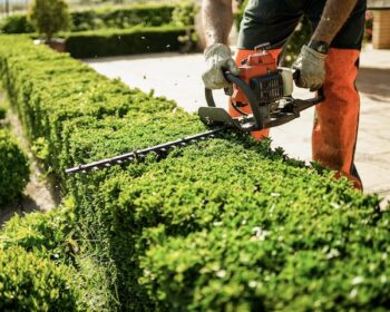 Lawn Service Oregon City Or